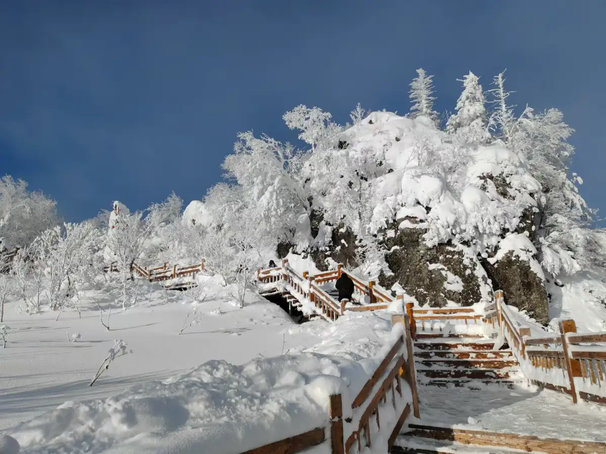 Winter in Harbin