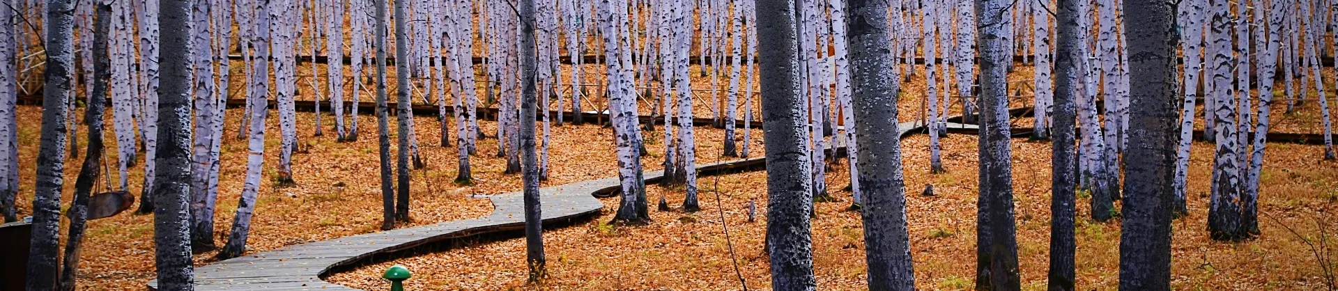 Fall Viewing Attractions