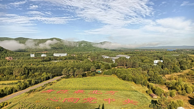 Yaksa's Ark Arctic Sightseeing Tower