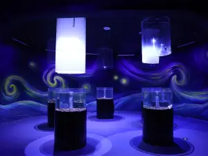 Qiyang Earth Ocean Kingdom