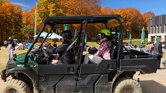 Hakuba Iwatake Mountain Resort