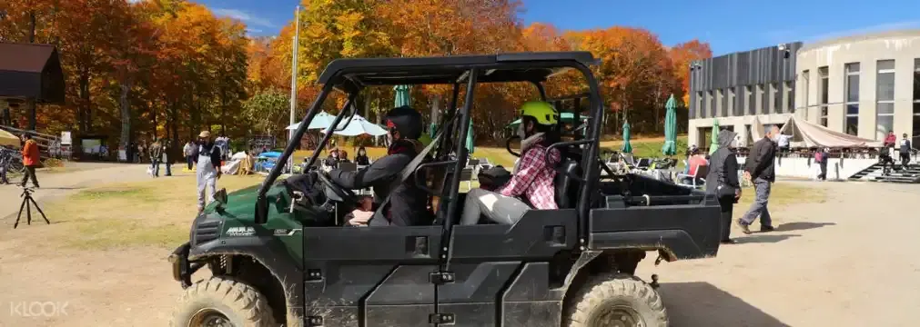 鄰近白馬巖岳山度假區的酒店