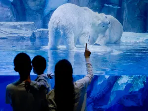 Zhengzhou Haichang Ocean Park