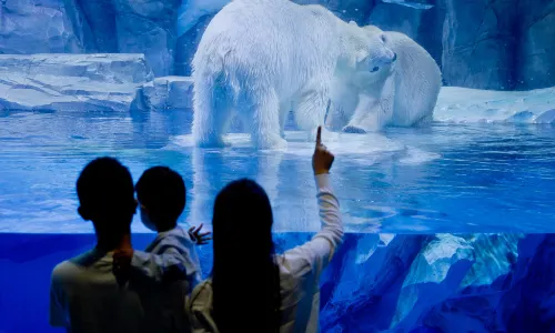 Zhengzhou Haichang Ocean Park