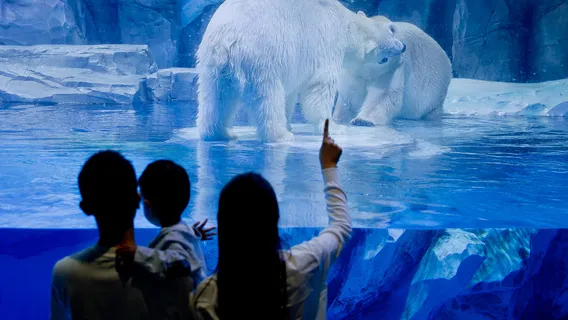 Zhengzhou Haichang Ocean Park