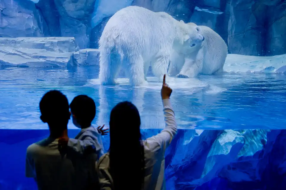 2_Zhengzhou Haichang Ocean Park