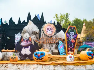 Enjoy Animal Kingdom