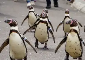 오타루 아쿠아리움