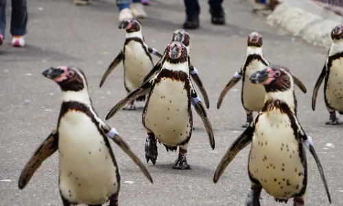 小樽水族館