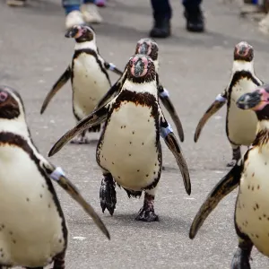 小樽水族館