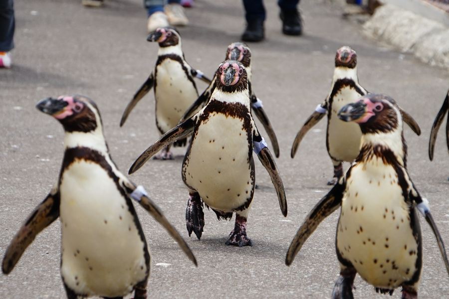 小樽水族館