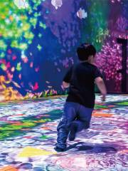 Shenzhen teamLab Future Park