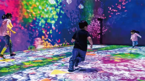 Shenzhen teamLab Future Park