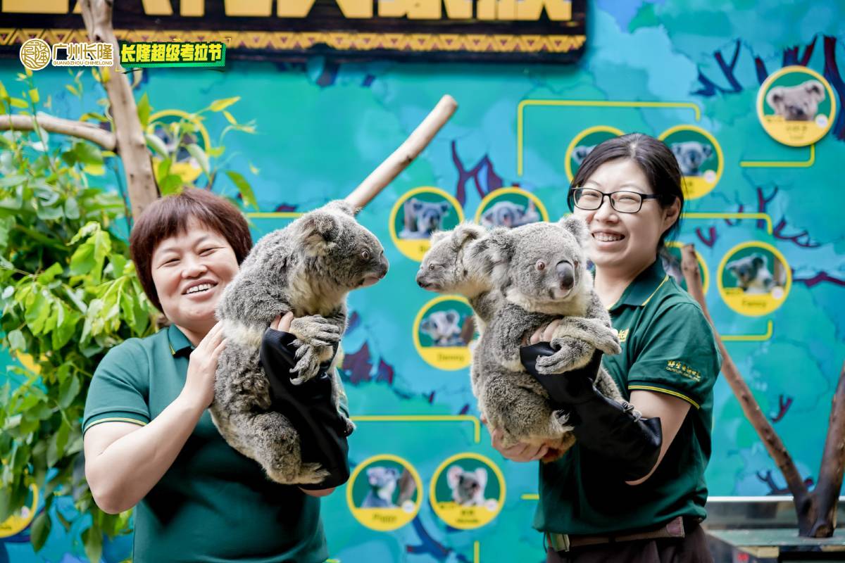 長隆野生動物園内おすすめレストラン&グルメガイド