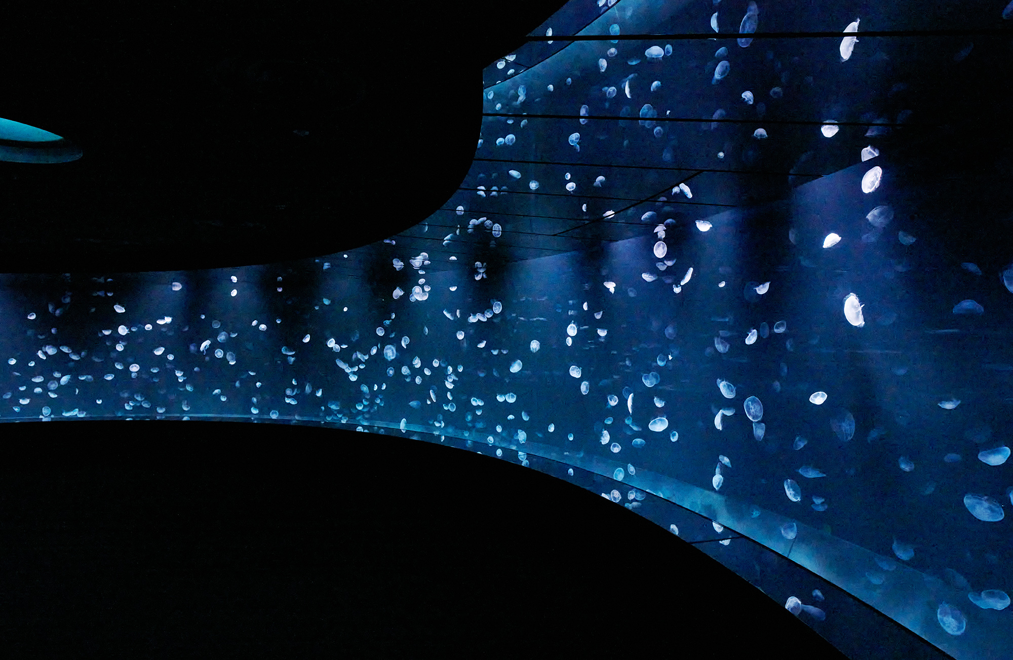 Tokyo Sunshine Aquarium Admission E-ticket