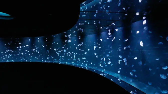 3_陽光水族館