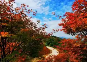 雲峯山（長情谷）旅遊景區