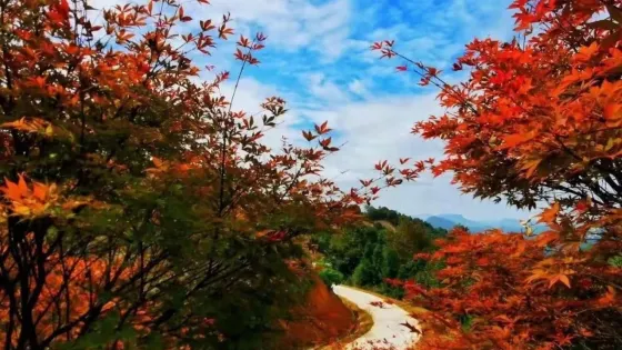 雲峯山(長情谷)旅遊景區