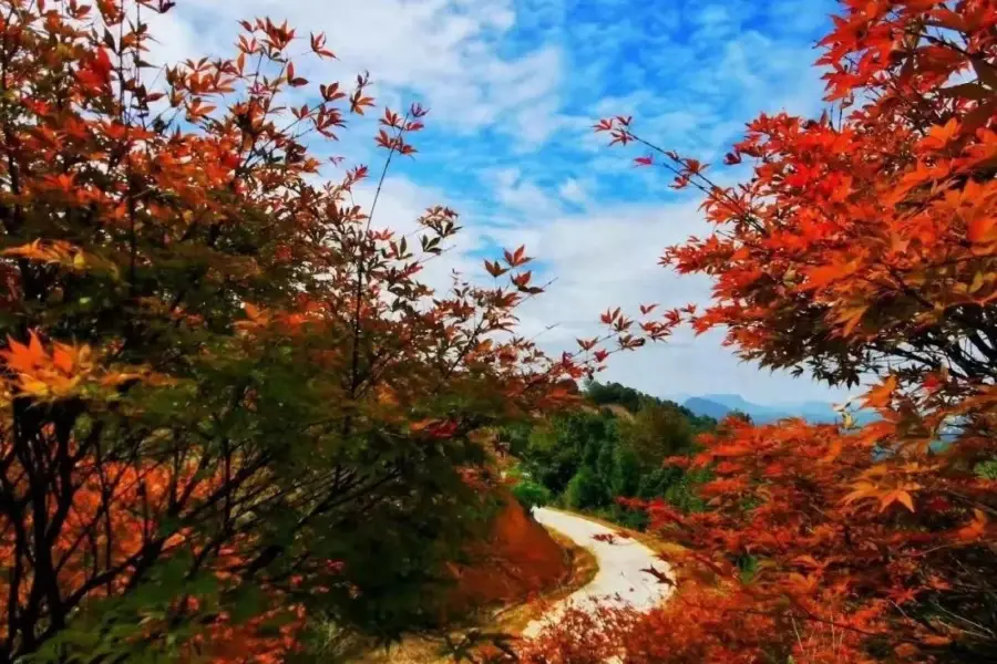 雲峯山（長情谷）旅遊景區