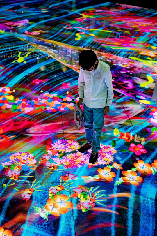5_Digital Light Canvas by teamLab
