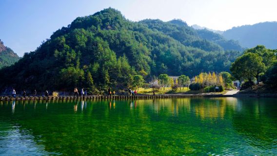 純玩-楠溪江風景區蒼坡古村+麗水古街+永嘉書院+獅子岩包車遊