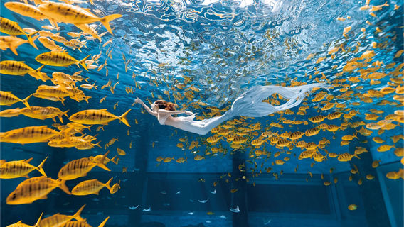 HAICHANG OCEAN SECRET ARIUM