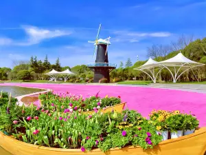 上海鮮花港