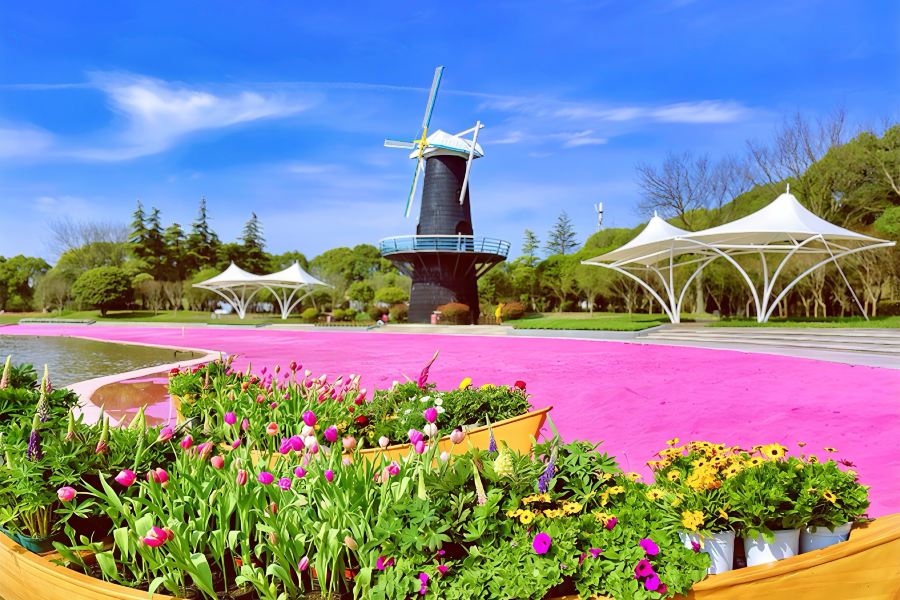 上海鮮花港