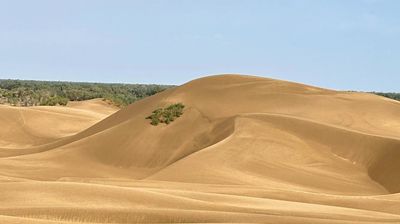 Kunqikang Tribe