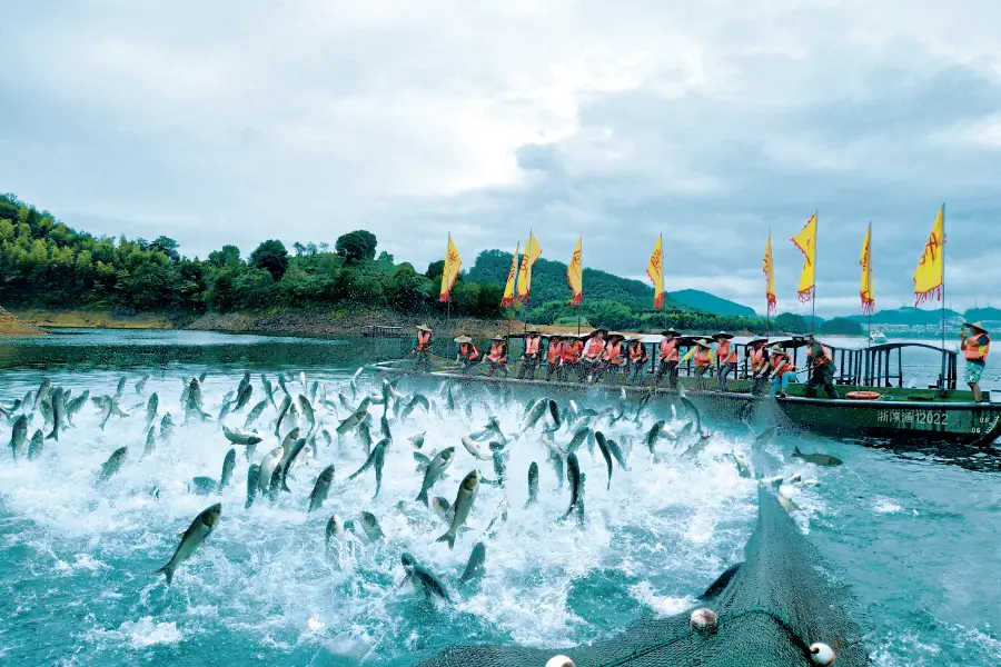 Thousand Island Lake Diaoyu Island