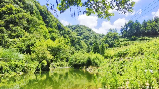 黃子山大峽谷景區