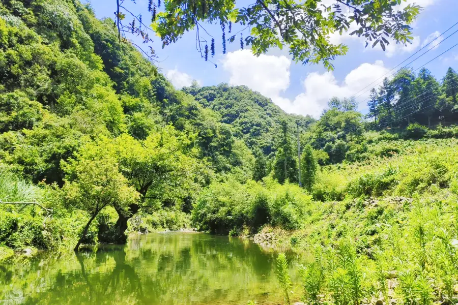 黃子山大峽谷景區