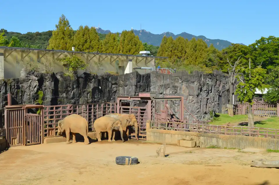 2_Seoul Zoo