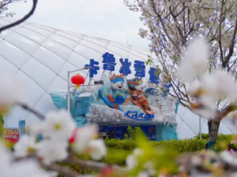 Karoo Ice and Snow World