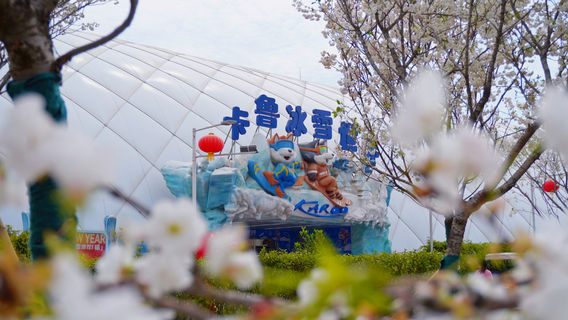 Karoo Ice and Snow World