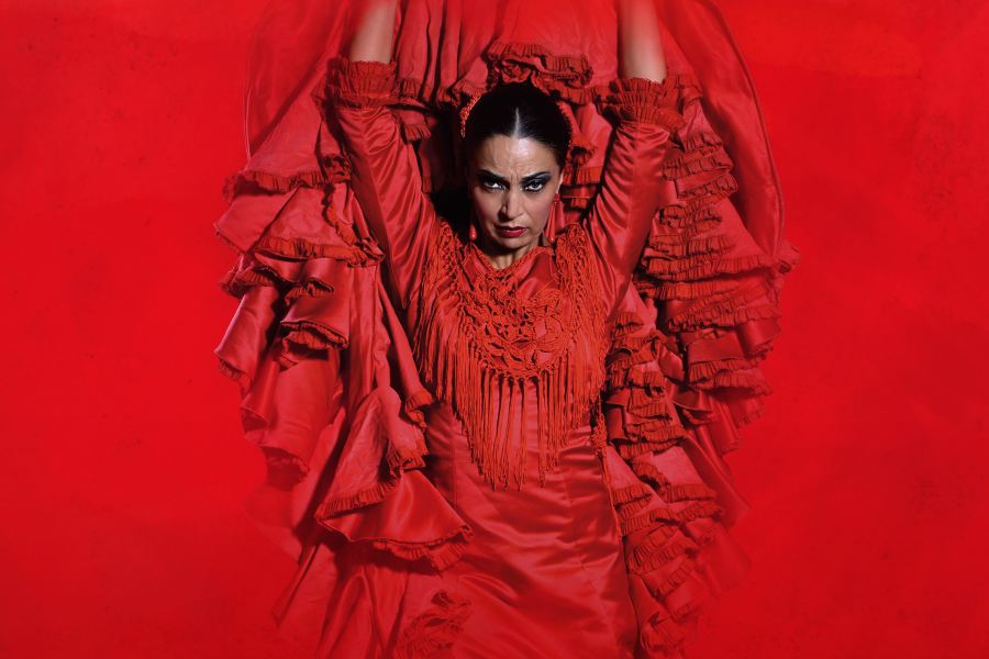 Teatro Flamenco Madrid