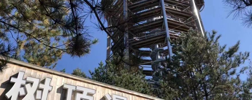 Treetop Walk