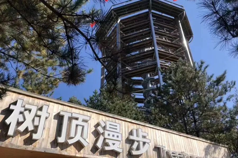 Treetop Walk