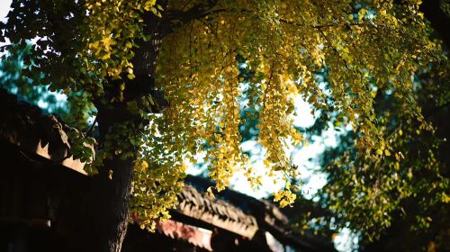 Langzhong Ancient Town