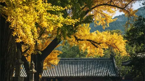 Lingyan Temple attraction in Jinan