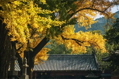 靈岩寺