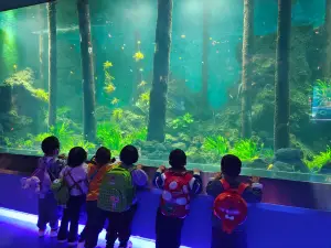 Shijiazhuang Sea World