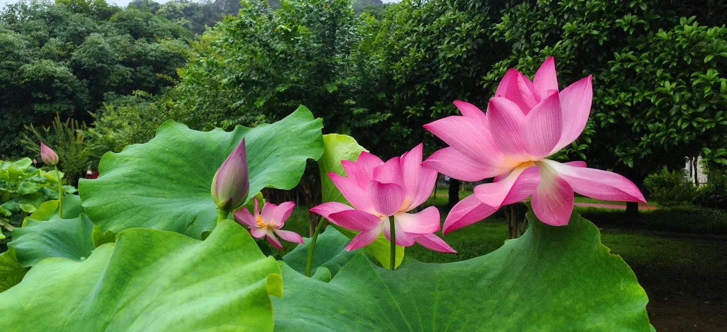 2_桂林西山景區