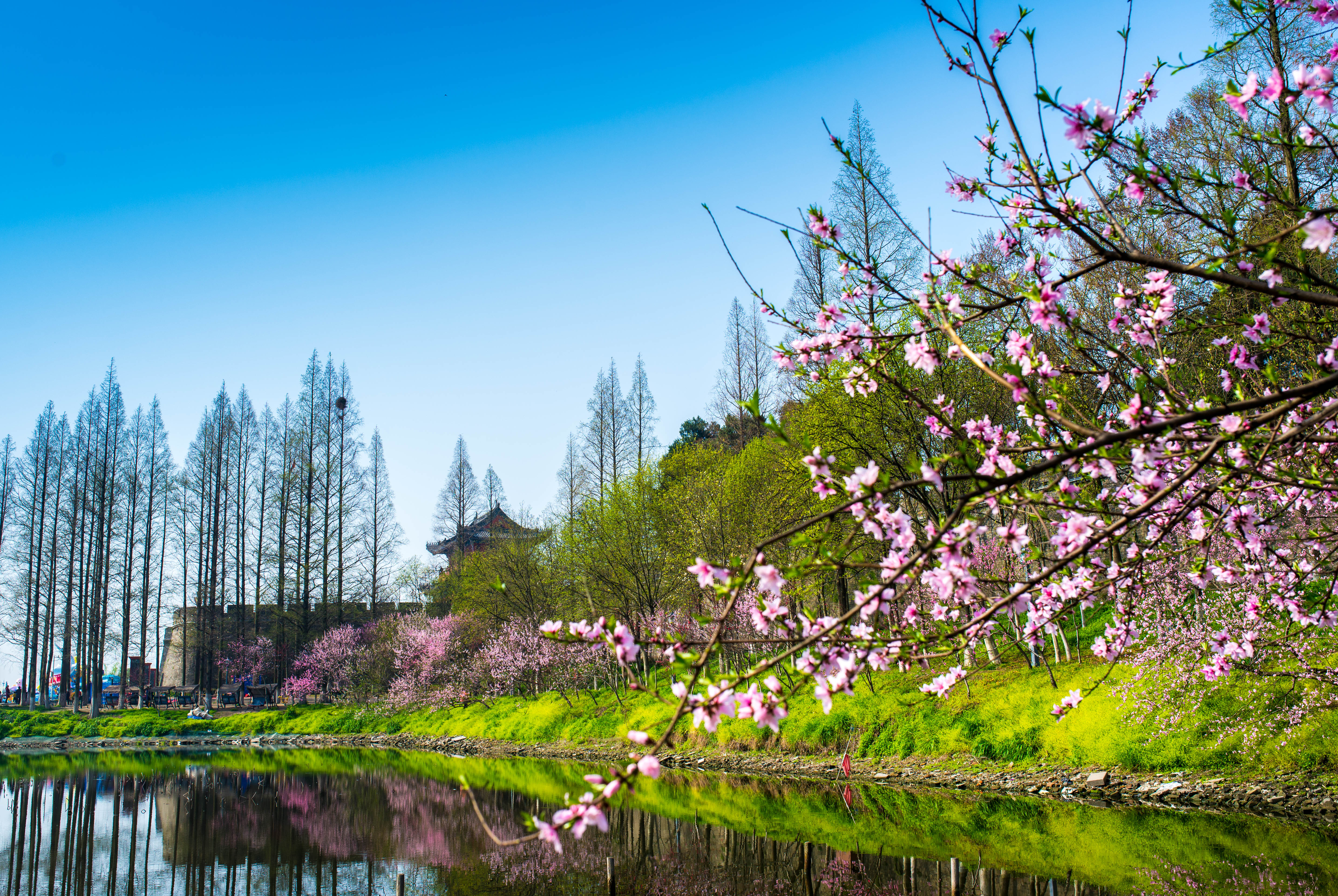 2025 Jingzhou Travel Guide: Must-see attractions, popular food, hotels, transportation routes (updated in June)