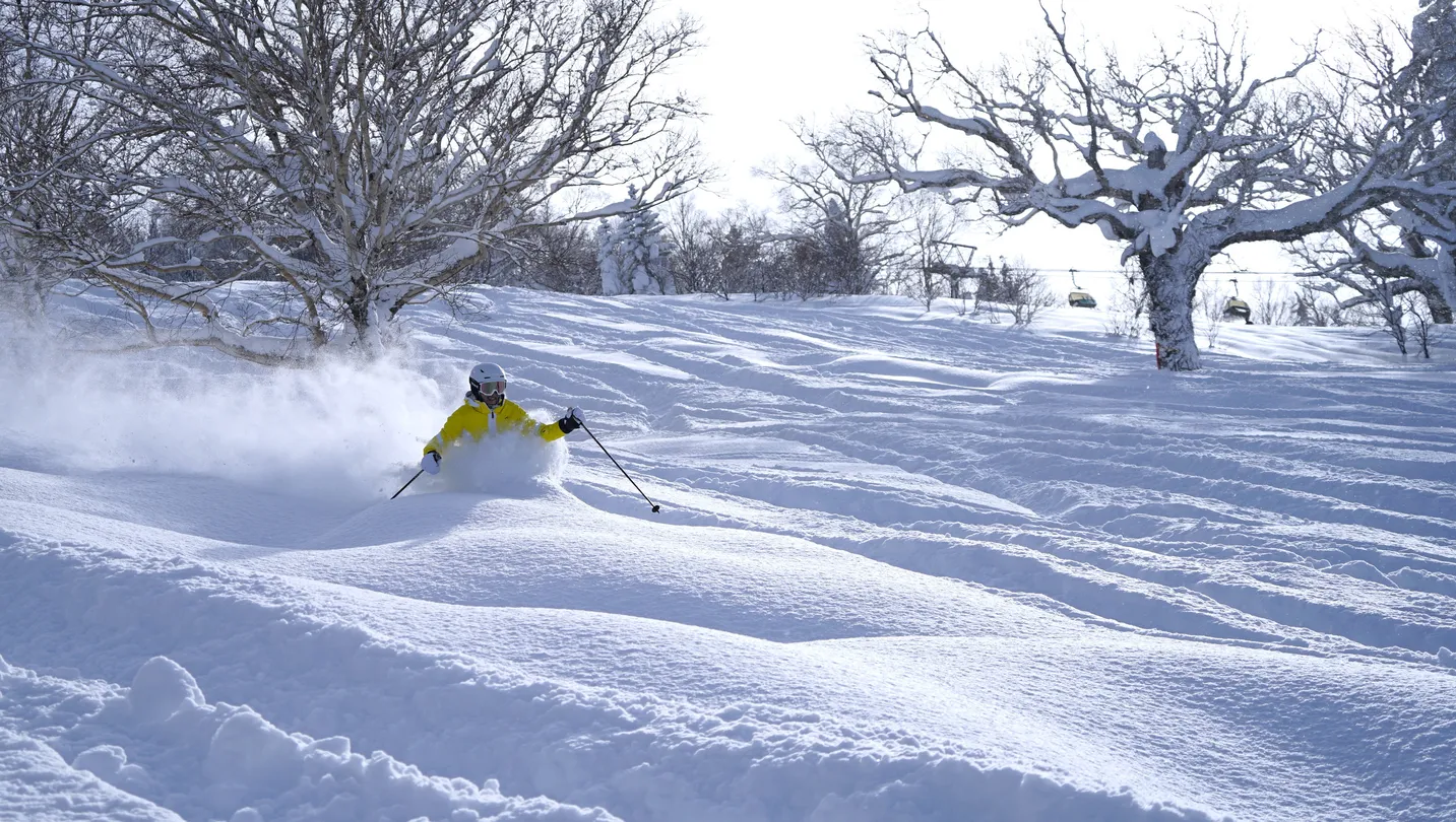 4_키로로 스키 리조트