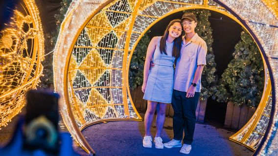 Christmas Wonderland