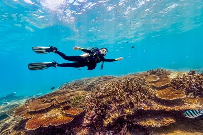 Snorkeling or Scuba Diving in Sanya