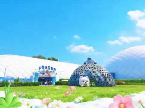 Karoo Ice and Snow World