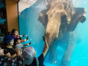 カオキアオ動物園