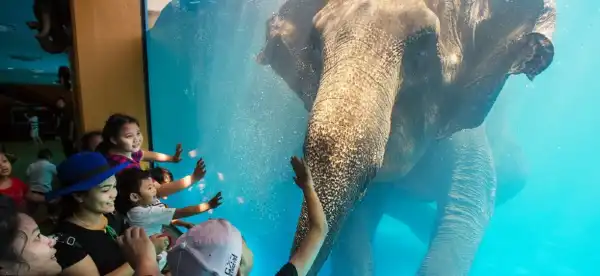 โรงแรมในตำบล บางพระ